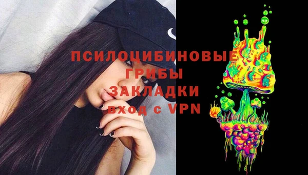 экстази Заводоуковск