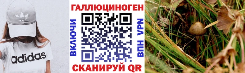 Купить закладки  Давлеканово  Псилоцибиновые грибы ЛСД 